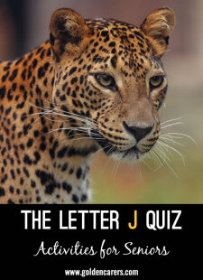 The Letter J Quiz #2