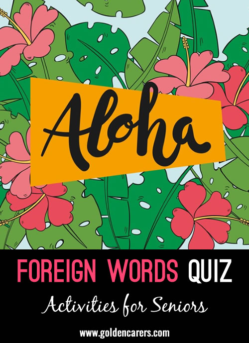 Foreign Words Quiz #2
