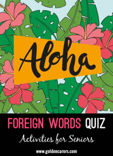 Foreign Words Quiz #2