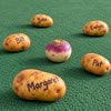 Irish Carpet Bowls