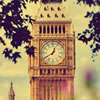 British Quiz