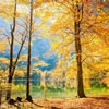 Daily Gratitude Tips for Senior Care