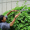 Name the Gardening Equipment