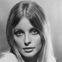 Sharon Tate