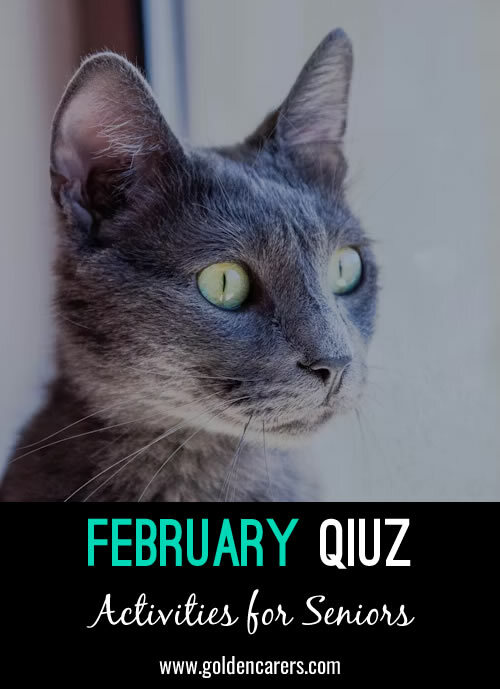 February Mixed-Bag Quiz