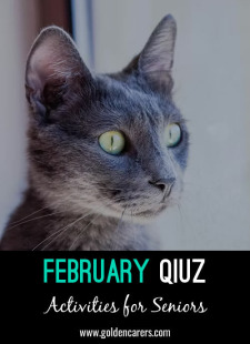 February Mixed-Bag Quiz