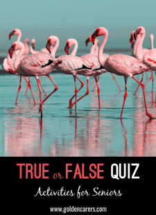 True or False Quiz - Easy