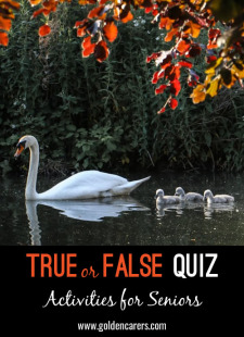 True or False Quiz #2