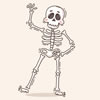 The Amazing Human Body - True or False?