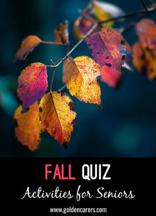 Fall Quiz