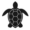 Turtles Word Search