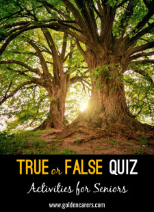 True or False Quiz #3
