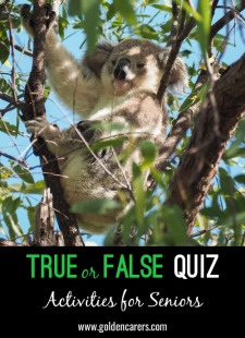 True or False Quiz #4