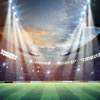 Super Bowl Sensation Party Inspiration