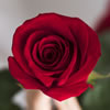 Valentines Day Sensory Kit Inspiration