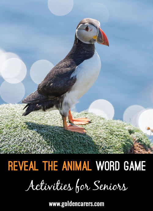 Reveal the Animal Word Game