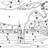 Color By Numbers - Horse