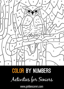 Color By Numbers - Owl