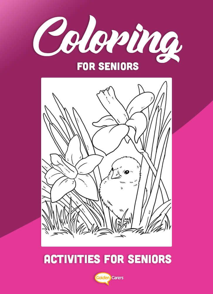 Coloring for Seniors - Chick In Grass