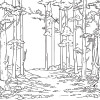 Coloring for Seniors - Forest