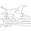 Coloring for Seniors - Seagull Sunset