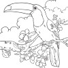 Coloring for Seniors - Tucan