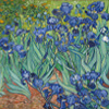 Artist Impression - Vincent Van Gogh - Irises