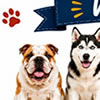 Dog Breeds Word Scramble