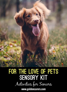 Sensory Kit Inspiration: For the Love of Pets