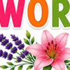 Types of Flowers Word Scramble