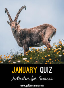 January Quiz