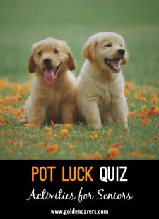 Pot Luck Quiz 35