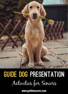 Guide Dog Presentation