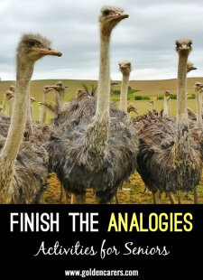 Finish the Analogies Quiz