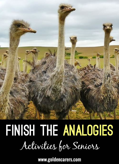 Finish the Analogies Quiz