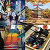 South Korea Travel Posters
