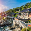 South Korean Trivia