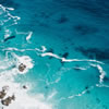 Earth Day Quiz
