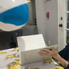 Binder Ball Toss