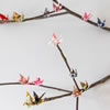 Paper Crane Peace Branch