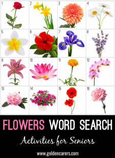 Picture Word Search - Flowers