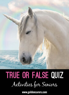 True or False Quiz #6