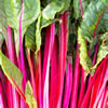 Rhubarb Quiz