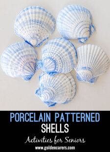 Porcelain Patterned Shells
