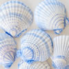 Porcelain Patterned Shells