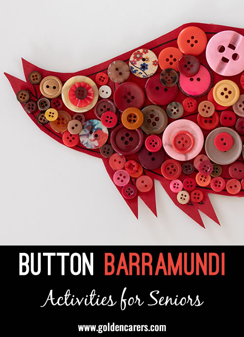 Button Barramundi