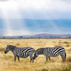 Armchair Travel to Tanzania