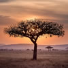 Tanzania Trivia