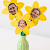 Daffodil Family Flowers