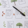 Tree of Life: Milestones & Memories